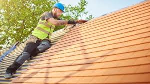 Best Roof Moss and Algae Removal  in Woodlawn, VA