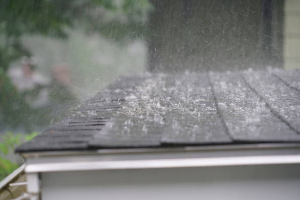 Best Rubber Roofing (EPDM, TPO)  in Woodlawn, VA